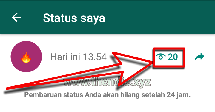 Apakah Wa Bisnis Bisa Melihat Status